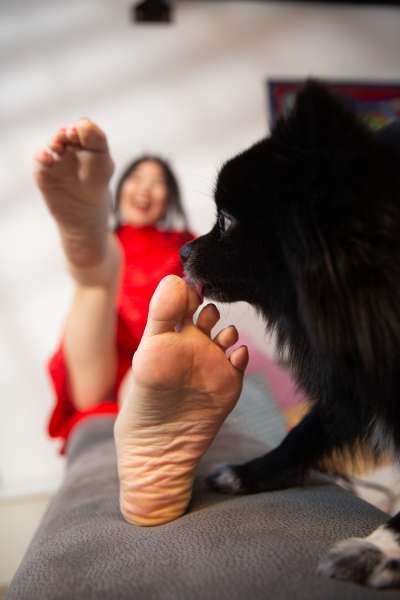 gros plan sur des pieds féminins sensuels